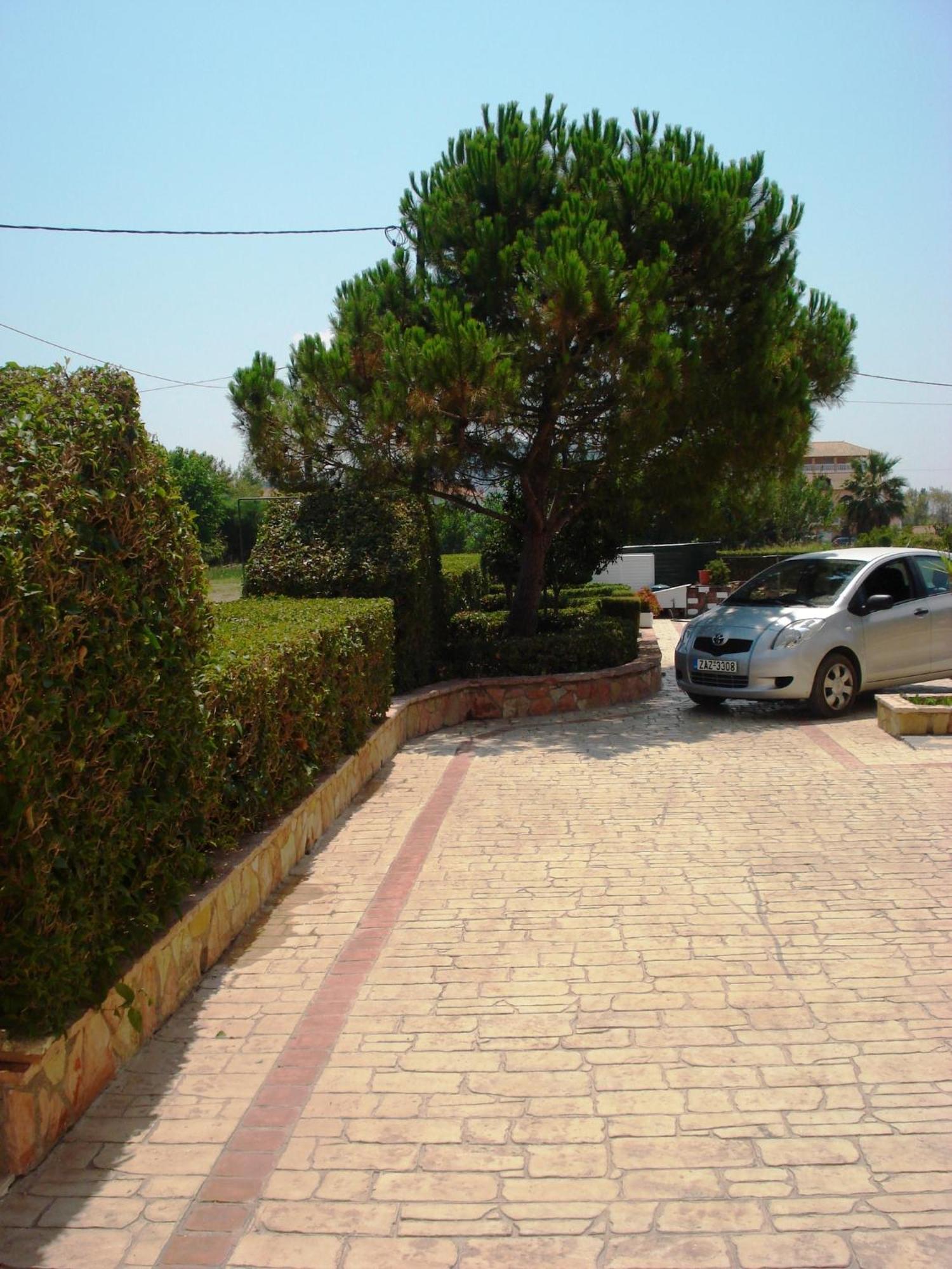 Sofia - Yiota Studios&Apartments Tsilivi  Exterior foto